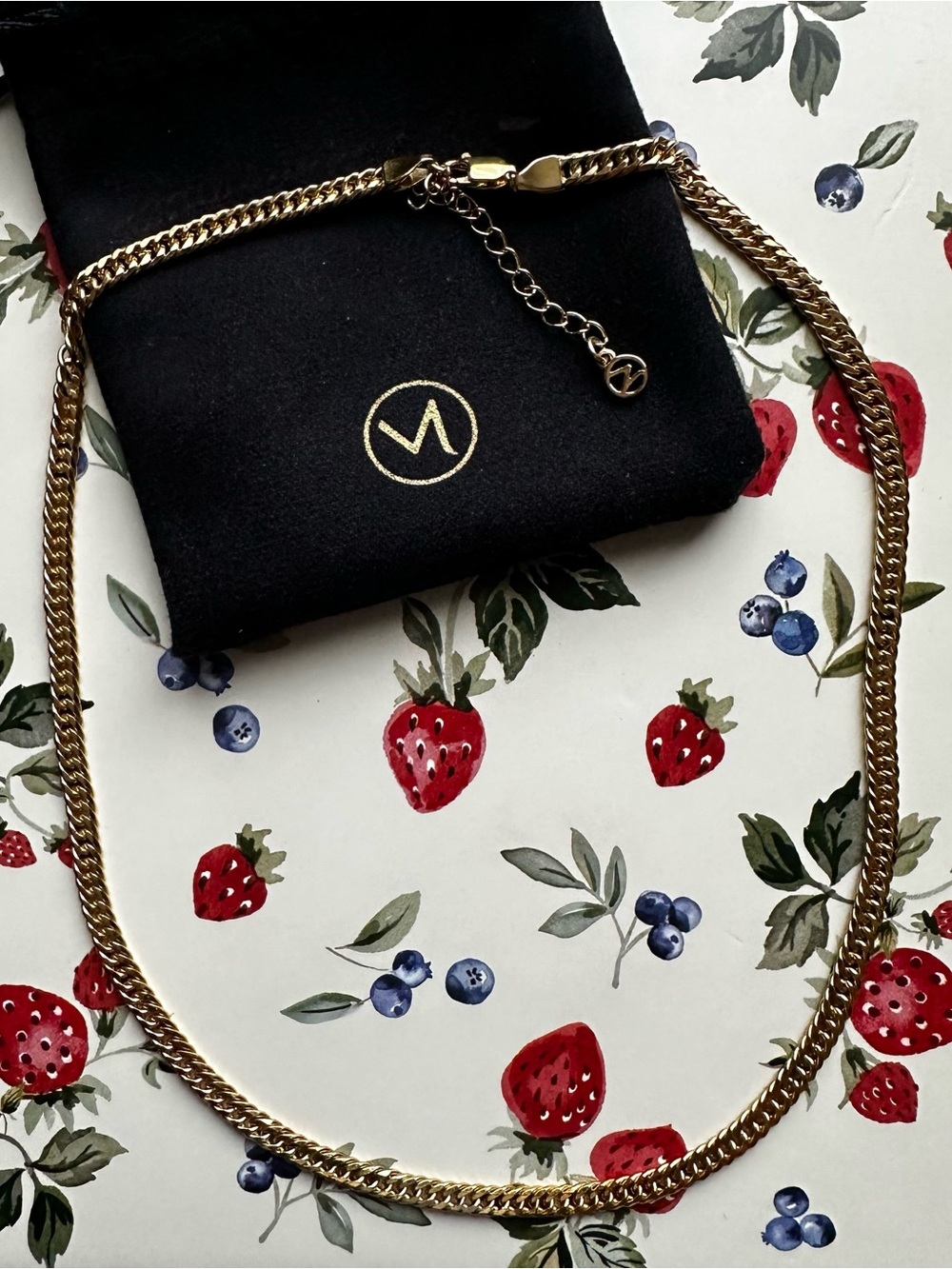 Mejuri Gold Chain Link Necklace with Branded Pouch
